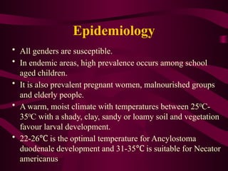 Epidemiology
• All genders are susceptible.
• In endemic areas, high prevalence occurs among school
aged children.
• It is also prevalent pregnant women, malnourished groups
and elderly people.
• A warm, moist climate with temperatures between 250
C-
350
C with a shady, clay, sandy or loamy soil and vegetation
favour larval development.
• 22-26 is the optimal temperature for Ancylostoma
℃
duodenale development and 31-35 is suitable for Necator
℃
americanus
 