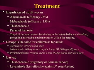 Treatment
• Expulsion of adult worm
– Albendazole (efficancy 72%)
– Mebendazole (efficancy 15%)
– Thiabendazole
– Pyrantel Pamoate
– They kill the adult worms by binding to the beta-tubulin and therefore,
preventing microtubule polymerization within the parasite.
• Dosage is the same for children as for adults
– Albendazole: 400 mg orally once
– Mebendazole: 100 mg twice a day for 3 days OR 500mg orally once.
– Pyrantel pamoate: 11mg/kg (up to a max of 1mg) orally daily for 3 days
• Larvae
– Thiabendazole (migratory or dormant larvae)
– Levamisole (less effective against N. americanus)
 