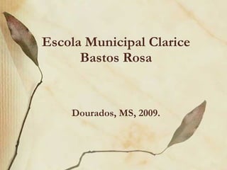 Escola Municipal Clarice Bastos Rosa Dourados, MS, 2009. 