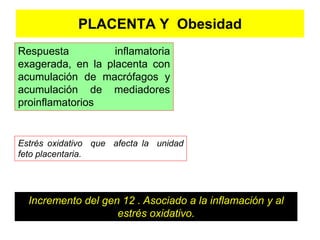 PLACENTA Y Obesidad 
Respuesta inflamatoria 
exagerada, en la placenta con 
acumulación de macrófagos y 
acumulación de mediadores 
proinflamatorios 
Estrés oxidativo que afecta la unidad 
feto placentaria. 
Incremento del gen 12 . Asociado a la inflamación y al 
estrés oxidativo. 
 