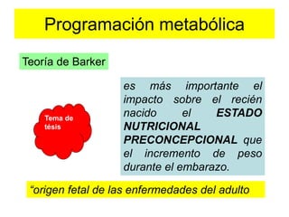 Programación metabólica 
es más importante el 
impacto sobre el recién 
nacido el ESTADO 
NUTRICIONAL 
PRECONCEPCIONAL que 
el incremento de peso 
durante el embarazo. 
Teoría de Barker 
Tema de 
tésis 
“origen fetal de las enfermedades del adulto 
 