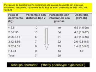 Prevalencia de diabetes tipo 2 e intolerancia a la glucosa de acuerdo con el peso al 
nacimiento. Estudio en 370 varones de 65 años de edad. Modificado de BMJ 1991; 303: 
1019-22 
fenotipo ahorrador (“thrifty phenotype hypothesis”) 
 