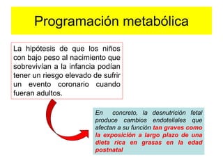 Programación metabólica 
La hipótesis de que los niños 
con bajo peso al nacimiento que 
sobrevivían a la infancia podían 
tener un riesgo elevado de sufrir 
un evento coronario cuando 
fueran adultos. 
En concreto, la desnutrición fetal 
produce cambios endoteliales que 
afectan a su función tan graves como 
la exposición a largo plazo de una 
dieta rica en grasas en la edad 
postnatal 
 