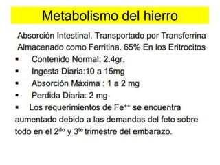 Metabolismo del hierro 
 