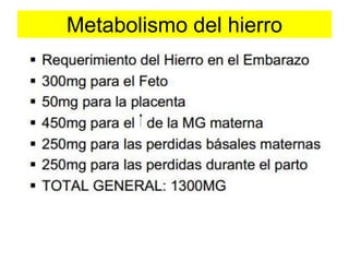 Metabolismo del hierro 
 