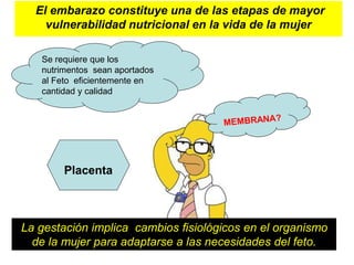 El embarazo constituye una de las etapas de mayor 
vulnerabilidad nutricional en la vida de la mujer 
Se requiere que los 
nutrimentos sean aportados 
al Feto eficientemente en 
cantidad y calidad 
Placenta 
La gestación implica cambios fisiológicos en el organismo 
de la mujer para adaptarse a las necesidades del feto. 
 