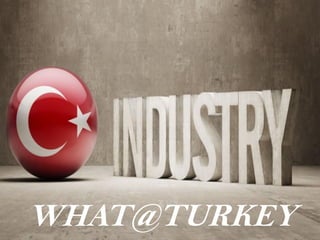 WHAT@TURKEY
 