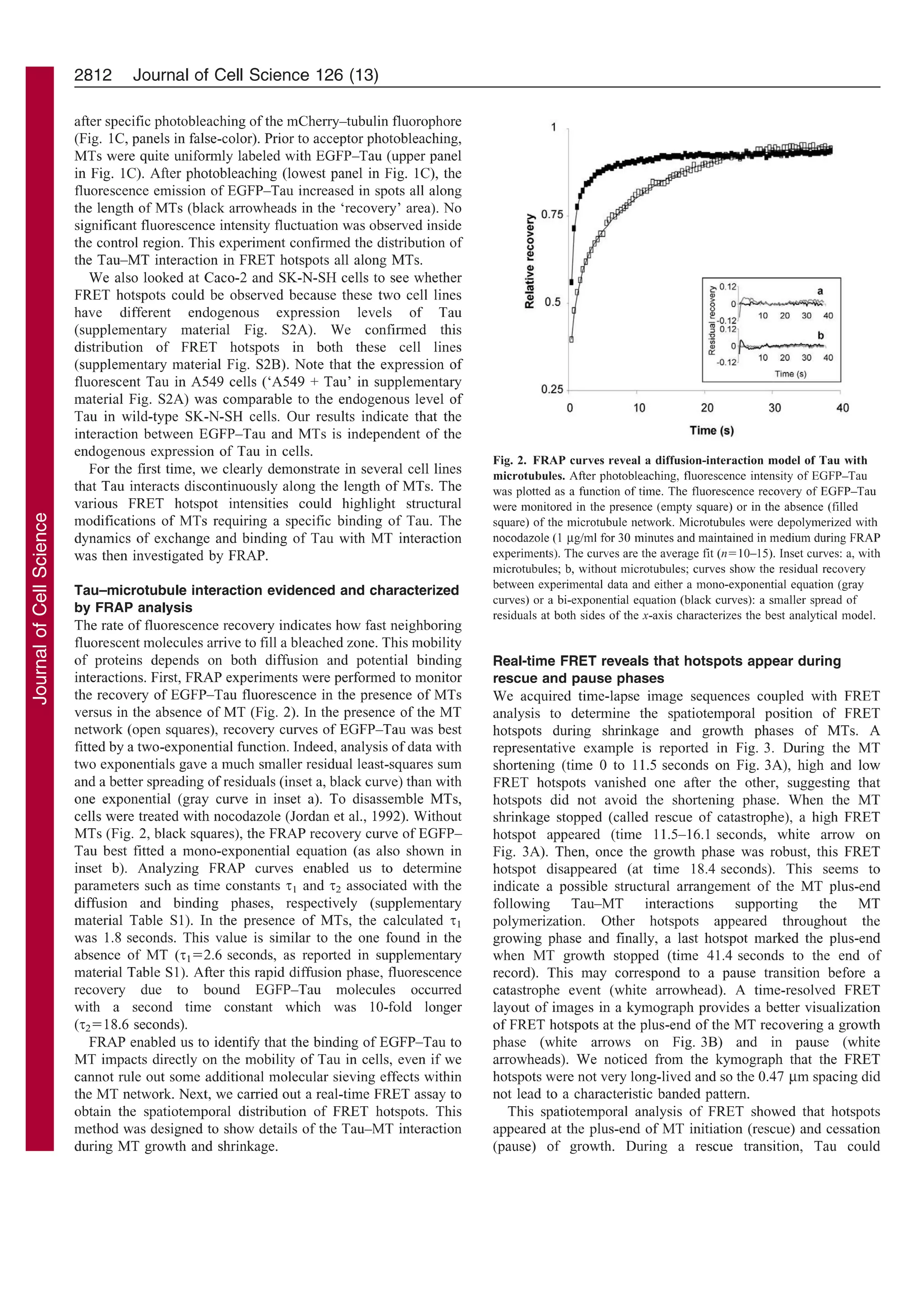 Molecular mechanisms of Tau binding to microtubules and its role in ...