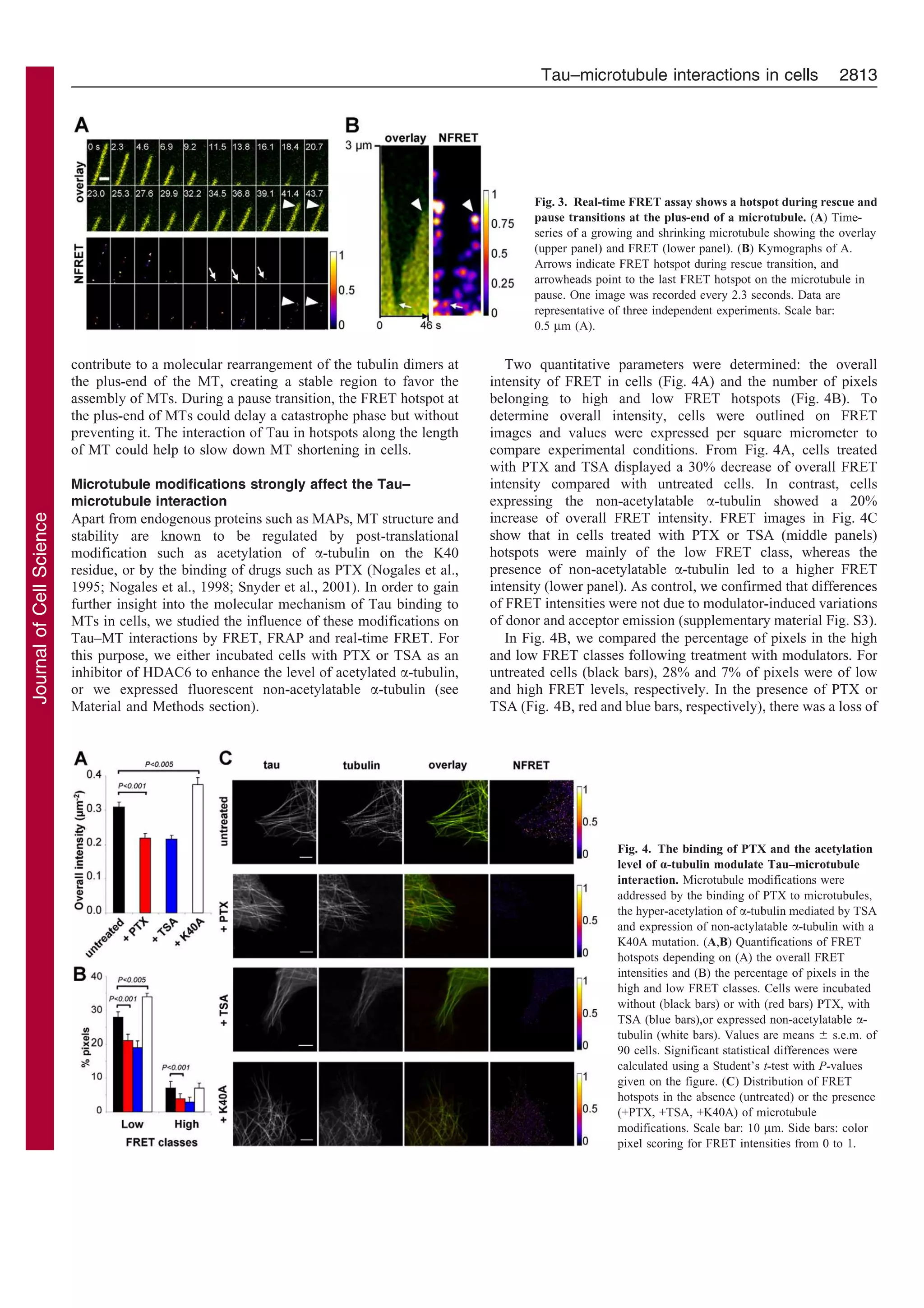 Molecular mechanisms of Tau binding to microtubules and its role in ...