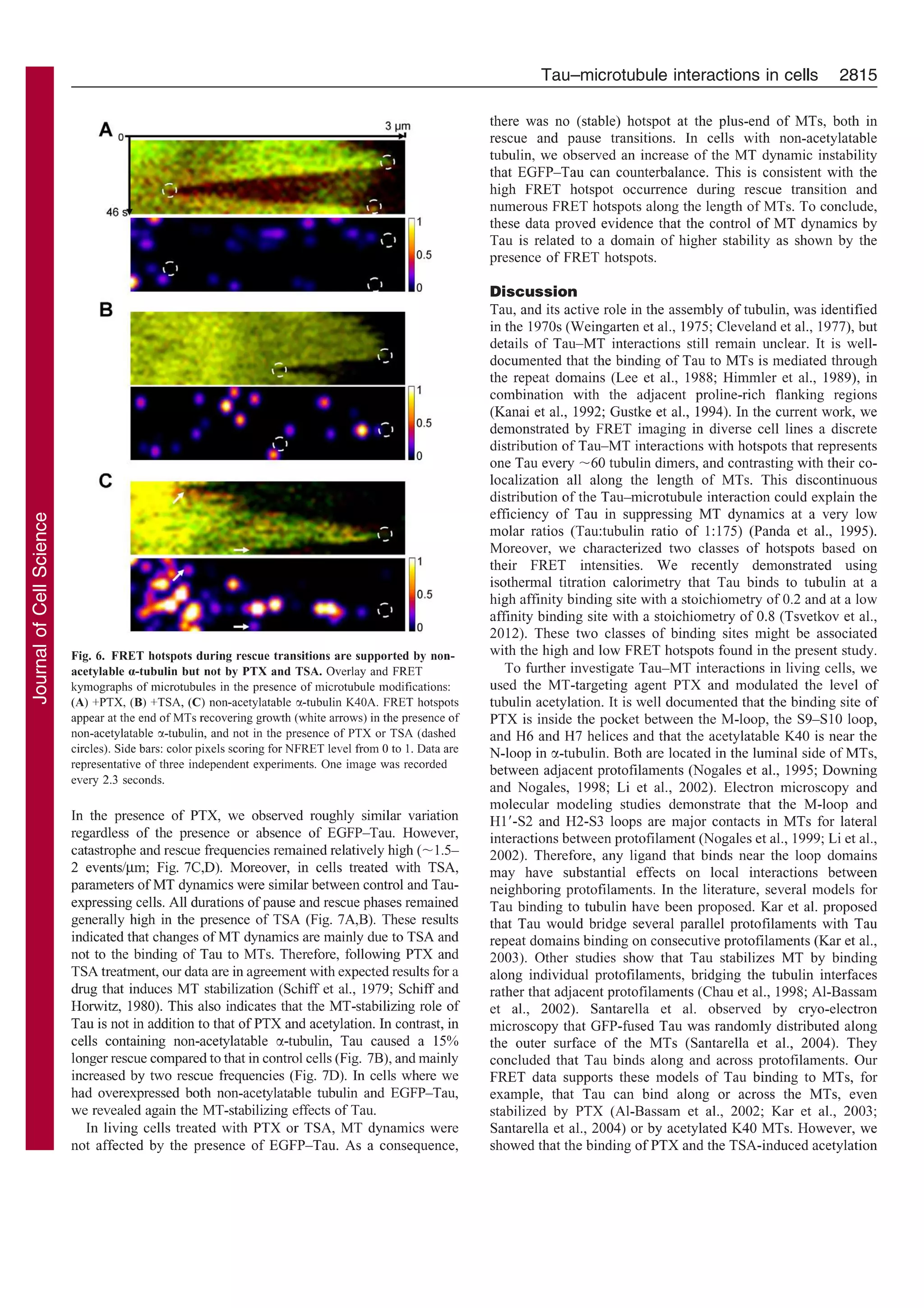 Molecular mechanisms of Tau binding to microtubules and its role in ...