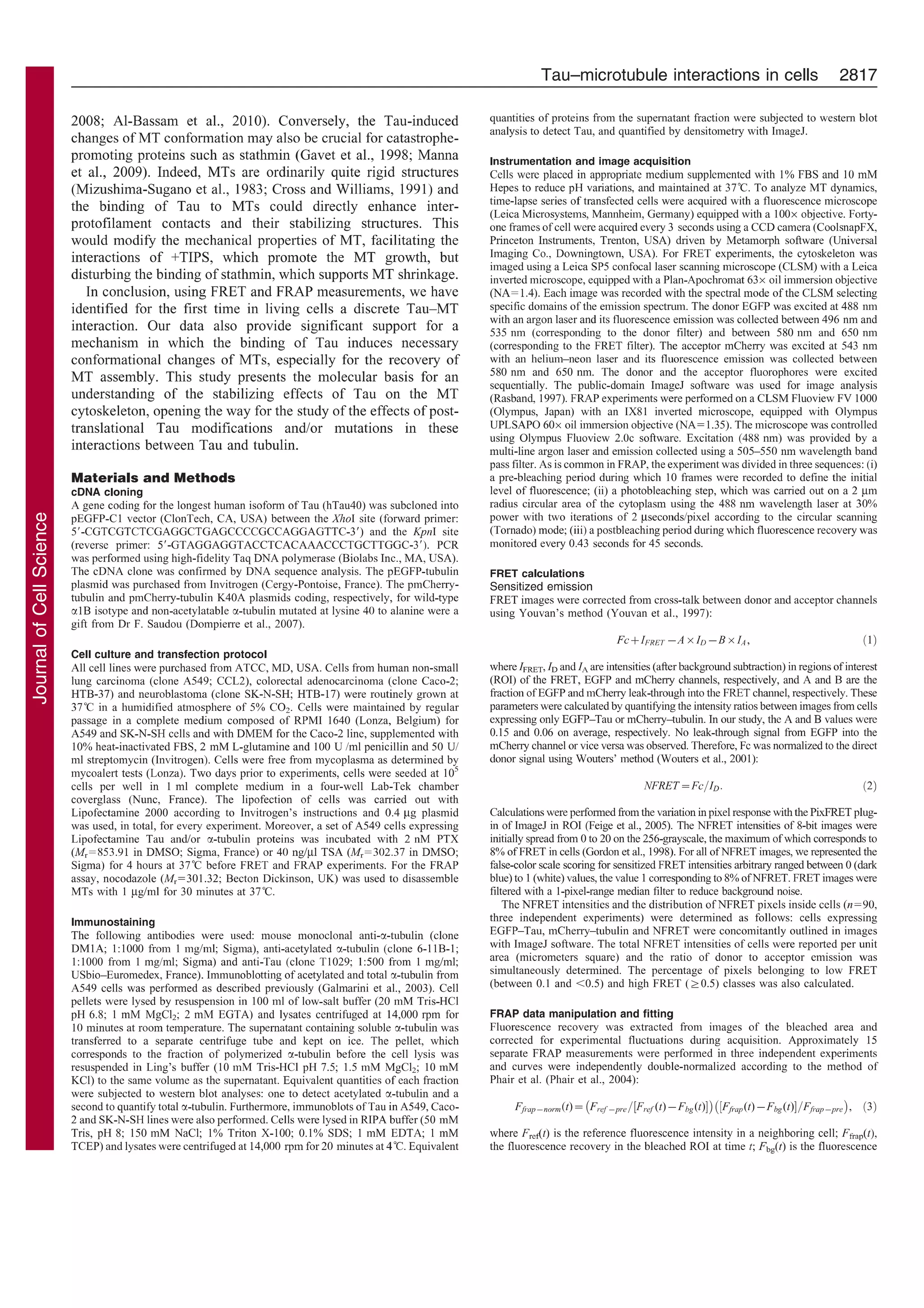 Molecular mechanisms of Tau binding to microtubules and its role in ...
