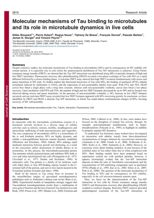 Molecular mechanisms of Tau binding to microtubules and its role in ...