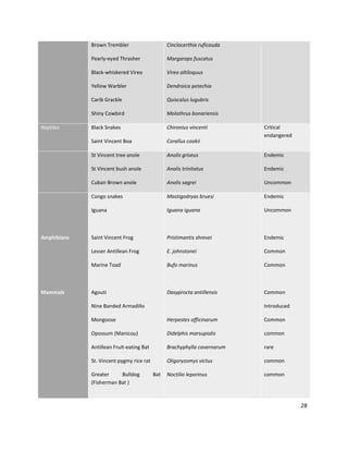28
Brown Trembler
Pearly-eyed Thrasher
Black-whiskered Vireo
Yellow Warbler
Carib Grackle
Shiny Cowbird
Cinclocerthia ruficauda
Margarops fuscatus
Vireo altiloquus
Dendroica petechia
Quiscalus lugubris
Molothrus bonariensis
Reptiles Black Snakes
Saint Vincent Boa
Chironius vincenti
Corallus cookii
Critical
endangered
St Vincent tree anole
St Vincent bush anole
Cuban Brown anole
Anolis griseus
Anolis trinitatus
Anolis sagrei
Endemic
Endemic
Uncommon
Amphibians
Mammals
Congo snakes
Iguana
Saint Vincent Frog
Lesser Antillean Frog
Marine Toad
Agouti
Nine Banded Armadillo
Mongoose
Opossum (Manicou)
Antillean Fruit-eating Bat
St. Vincent pygmy rice rat
Greater Bulldog Bat
(Fisherman Bat )
Mastigodryas bruesi
Iguana iguana
Pristimantis shrevei
E. johnstonei
Bufo marinus
Dasyprocta antillensis
Herpestes officinarum
Didelphis marsupialis
Brachyphylla cavernarum
Oligoryzomys victus
Noctilio leporinus
Endemic
Uncommon
Endemic
Common
Common
Common
Introduced
Common
common
rare
common
common
 