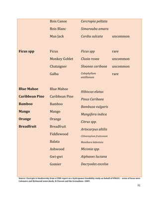 31
Ficus spp
Blue Mahoe
Caribbean Pine
Bamboo
Mango
Orange
Breadfruit
Bois Canoe
Bois Blanc
Man Jack
Ficus
Monkey Goblet
Chataigner
Galba
Blue Mahoe
Caribbean Pine
Bamboo
Mango
Orange
Breadfruit
Fiddlewood
Balata
Ashwood
Gwi-gwi
Gomier
Cercropia peltata
Simarouba amara
Cordia sulcata
Ficus spp
Clusia rosea
Sloanea caribaea
Calophyllum
antillanum
Hibiscus elatus
Pinus Caribaea
Bambusa vulgaris
Mangifera indica
Citrus spp.
Artocarpus altilis
Citharexylum fruticosum
Manilkara bidentata
Miconia spp.
Aiphanes luciana
Dacryodes excelsa
uncommon
rare
uncommon
uncommon
rare
Source: Excerpts re biodiversity from a CEHI report on a hydropower feasibility study on behalf of VINLEC, - areas of focus were
Colonaire and Richmond watersheds, St Vincent and the Grenadines -2009.
 