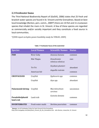32
2.3 Freshwater fauna
The Third National Biodiversity Report of (GoSVG, 2006) states that 25 fresh and
brackish water species are found in St. Vincent and the Grenadines. Based on best
local knowledge (Renton, pers. comm., 2009*) there are 14 fish and 11 crustacean
species that inhabit the rivers in St. Vincent. A few of these species are regarded
as commercially and/or socially important and they constitute a food source in
local communities.
*(CEHI report on hydro power feasibility study for VINLEC, 2009)
Table: 7 Freshwater fauna of the watershed
Species Local Names Scientific Names Status
FISH River Goby
Nile Tilapia
Tri-Tri
American Eel
Awasous banana
Oreochromis
niloticus niloticus
Sicydium plumieri
Anguilla rostrata
common
rare
abundant
common
CRUSTACEANS
Palaemonid shrimp
Pseudothelphusid
land crab
Crayfish
Crayfish
Crayfish
Land crab
Xyphocaris spp.
Atya spp.
Macrobrachium
carcinus
Guinotia dentata
common
abundant
uncommon
common
INVERTEBRATES Fresh water snails Neritina punctulata common
Sources: List of Freshwater Fishes for Saint Vincent & the Grenadines
http://fish.mongabay.com/data/Saint_Vincent_&_the_Grenadines.htm John Renton, researcher, St. Vincent
 