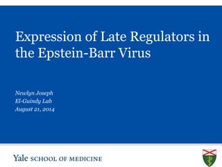 S L I D E 1
Expression of Late Regulators in
the Epstein-Barr Virus
Newlyn Joseph
El-Guindy Lab
August 21, 2014
 