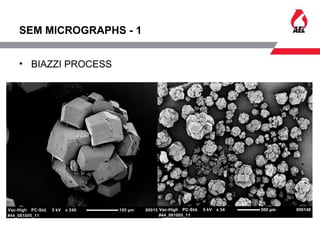 SEM MICROGRAPHS - 1
• BIAZZI PROCESS
 
