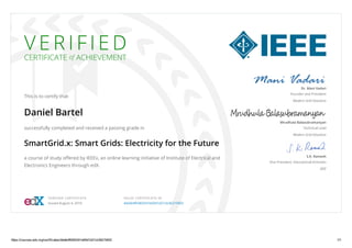 160804 - Smart Grids Electricity for the Future