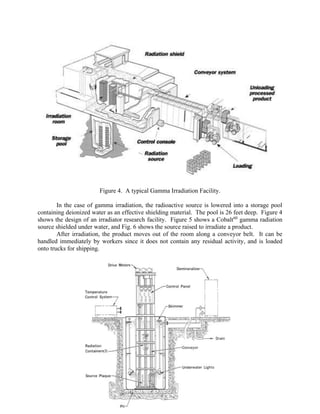 Figure 4. A typical Gamma Irradiation Facility.
In the case of gamma irradiation, the radioactive source is lowered into a storage pool
containing deionized water as an effective shielding material. The pool is 26 feet deep. Figure 4
shows the design of an irradiator research facility. Figure 5 shows a Cobalt60
gamma radiation
source shielded under water, and Fig. 6 shows the source raised to irradiate a product.
After irradiation, the product moves out of the room along a conveyor belt. It can be
handled immediately by workers since it does not contain any residual activity, and is loaded
onto trucks for shipping.
 