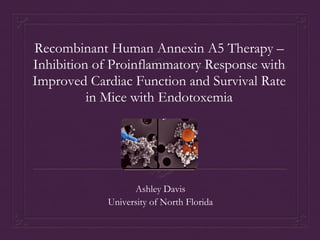 Recombinant Human Annexin A5 Therapy –
Inhibition of Proinflammatory Response with
Improved Cardiac Function and Survival Rate
in Mice with Endotoxemia
Ashley Davis
University of North Florida
 