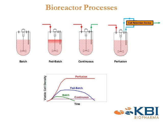 n bed fluidized Debottlenecking Capacity: Initiating cell Manufacturing n bed fluidized Debottlenecking Capacity: Initiating cell Manufacturing