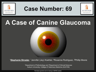 Case Number: 69
A Case of Canine Glaucoma
Permission granted only for viewing on SEVPAC website
1Stephanie Shrader, 1Jennifer (Jey) Koehler, 2Roxanne Rodriguez, 2Phillip Moore
1Department of Pathobiology and 2Department of Clinical Sciences
Auburn University, College of Veterinary Medicine (AUCVM)
 