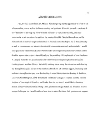 vi
ACKNOWLEDGEMENTS
First, I would like to thank Dr. Melissa Rolls for giving me the opportunity to work in her
laboratory last year as well as for her mentorship and guidance. With this research experience, I
have been able to develop my ability to think critically, to work independently, and most
importantly, to ask questions. In addition, the mentorship of Dr. Wendy Hanna-Rose and Dr.
Melissa Rolls in their co-taught communities of practice course has helped me to think critically
as well as communicate my ideas to the scientific community accurately and concisely. I would
also specifically like to thank Richard Albertson for allowing me to collaborate with him on the
dendrite regeneration project; Awani Upadhyay for providing cDNA plasmids of osm-9 and ocr-
4; Gregory Kothe for his guidance and help with troubleshooting throughout my molecular
cloning project; Matthew Shorey, for initially training me on using the microscope and showing
me damage techniques; and all of the members of the Rolls lab for their support, friendship and
assistance throughout the past year. For funding, I would like to thank the Rodney A. Erickson
Discovery Grant Program, BMB department, The Eberly College of Science, and The National
Institute of Neurological Disorders and Stroke. Last but not least, I would like to thank my
friends and especially my family. Being a first generation college student has presented its own
unique challenges, but I would not have been able to succeed without their guidance and support.
 
