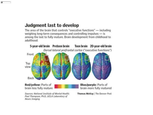 The Adolescent Brain Why Executive >> Executive Functioning And The Adolescent2 The Adolescent Brain Why Executive >> Executive Functioning And The Adolescent2