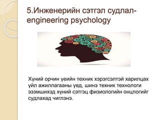 5.Инженерийн сэтгэл судлал-
engineering psychology
Хүний орчин үеийн техник хэрэгсэлтэй харилцах
үйл ажиллагааны үед, шинэ техник технологи
эзэмшихэд хүний сэтгэц физиологийн онцлогийг
судлахад чиглэнэ.
 