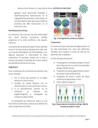 Distrofia de bastones PDF