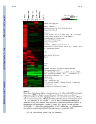 Figure 1.
Hierarchical cluster image of gene expression patterns of NF-κB dependent/TNFα stimulated
target genes in MEFs in the presence and absence of individual signalsome subunits.
Expression profiles of all genes displaying induction of 2 fold or more and average difference
calls of increase (as described in Experimental Procedures) in primary microarray screens of
2 hr TNFα stimulated Wt. MEFs (lanes 1&2) vs. Wt. MEFs constitutively expressing an
IκBα(SS32/36AA) super repressor (lanes 9&10) were submitted to hierarchial clustering in
comparison to TNFα stimulated (S) IKKα(−/−) (lanes 3&4), IKKβ(−/−) (lane 5&6) and
NEMO/IKKγ(−/−) (lanes 7&8) and unstimulated (US) Wt. MEFs (lane 11). The locations of
selected genes are indicated and their fold change values are presented in Table I.
LI et al. Page 16
J Biol Chem. Author manuscript; available in PMC 2005 September 13.
NIH-PAAuthorManuscriptNIH-PAAuthorManuscriptNIH-PAAuthorManuscript
 