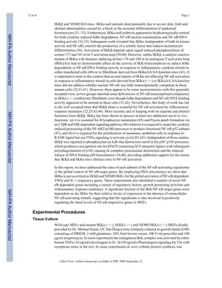 IKKβ and NEMO KO mice, IKKα null animals died prenatally due to severe skin, limb and
skeletal abnormalities caused by a block in the terminal differentiation of epidermal
keratinocytes (31–33). Furthermore, IKKα null embryos appeared to be phenotypically normal
for both cytokine induced IκBα degradation, NF-κB nuclear translocation and NF-κB DNA
binding activity (32,33). Subsequent work revealed that IKKα (independent of both its kinase
activity and NF-κB) controls the production of a soluble factor that induces keratinocyte
differentiation (38). Activation of IKKβ depends upon signal induced phosphorylation of
serines 177 and 181 in its T activation loop (39,40). However, unlike IKKβ, a catalytic inactive
mutant of IKKα with alanines replacing serines 176 and 180 in its analogous T activation loop
(IKKαAA) had no demonstrable affect on the activity of IKK holocomplexes to induce IκBα
degradation or NF-κB DNA binding activity in response to inflammatory cytokine stimuli in
either transfected cells (40) or in fibroblasts derived from IKKαAA/AA knockin mice (41). It
is important to note in this context that several reports of IKKα not affecting NF-κB activation
in response to inflammatory stimuli in cells derived from IKKα (−/−) or IKKαAA/AA knockin
mice did not address whether nuclear NF-κB was fully transcriptionally competent in these
mutant cells (32,33,41). However, there appear to be some inconsistencies with this generally
accepted view, as two groups reported some deficiencies in NF-κB transcriptional competence
in IKKα (−/−) embryonic fibroblasts even though IκBα degradation and NF-κB DNA binding
activity appeared to be normal in these cells (31,42). Nevertheless, this body of work has led
to the well accepted tenet that IKKβ alone is essential for NF-κB activation by inflammatory
response mediators (22,25,43,44). More recently and in keeping with its separate and distinct
functions from IKKβ, IKKα has been shown to possess at least two additional novel in vivo
functions: (a) it is essential for B lymphocyte maturation (45) and Peyers patch formation via
an LTβR and NIK dependent signaling pathway (46) wherein it is required to target the cytokine
induced processing of the NF-κB2 (p100) precursor to produce functional NF-κB p52 subunit
(47), and (b) it is required for the proliferation of mammary epithelial cells in response to
RANK ligand but not TNFα signaling to activate cyclin D1 (41). Independent of these studies,
IKKβ was reported to phosphorylate an IκB-like destruction motif in the p50’ p105 precursor,
which produces a recognition site for βTrCP-containing SCF ubiquitin ligases with subsequent
polyubiquitination of p105 causing its complete proteasomal destruction and the induced
release of DNA binding p50 homodimers (10,48), providing additional support for the notion
that IKKβ and IKKα have distinct roles in NF-κB activation.
In this report, we have addressed the roles of each subunit of the NF-κB activating signalsome
in the global control of NF-κB target genes. By employing DNA microarrays we show that
IKKα is just as critical as IKKβ and NEMO/IKKγ for the global activation of NF-κB dependent,
TNFα and IL-1 responsive genes. These experiments also identified a number of novel NF-
κB dependent genes including a variety of regulatory factors, growth promoting activities and
inflammatory response mediators. A significant fraction of the IKK/NF-κB target genes were
dependent on the IKKs for their relative levels of expression in the absence of extracellular
NF-κB activating stimuli, suggesting that the signalsome is also involved in positively
regulating the basal levels of NF-κB responsive genes in MEFs.
Experimental Procedures
Tissue Culture
Wild type MEFs and mutant IKKα (−/−), IKKβ (−/−) and NEMO/IKKγ (−/−) MEFs (kindly
provided by Dr. Michael Karin, UC San Diego) were routinely cultured in growth media (GM)
consisting of DMEM, 2 mM glutamine, 10% fetal bovine serum, 100 U/ml penicillin and 100
μg/ml streptomycin. In most experiments the endogenous IKK complex was activated by either
human TNFα (10 ng/ml) (Invitrogen) or IL-1β (50 ng/ml) (Pharmingen) signaling for 2 hr with
exceptions notes in the text. In some experiments de novo cellular protein synthesis was
LI et al. Page 3
J Biol Chem. Author manuscript; available in PMC 2005 September 13.
NIH-PAAuthorManuscriptNIH-PAAuthorManuscriptNIH-PAAuthorManuscript
 