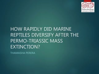 HOW RAPIDLY DID MARINE
REPTILES DIVERSIFY AFTER THE
PERMO-TRIASSIC MASS
EXTINCTION?
THAMASHA PERERA
 