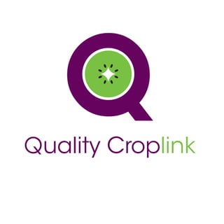 QCL logo