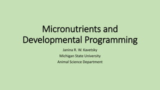 Micronutrients and
Developmental Programming
Janina R. W. Kavetsky
Michigan State University
Animal Science Department
 