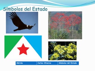 Símbolos del Estado