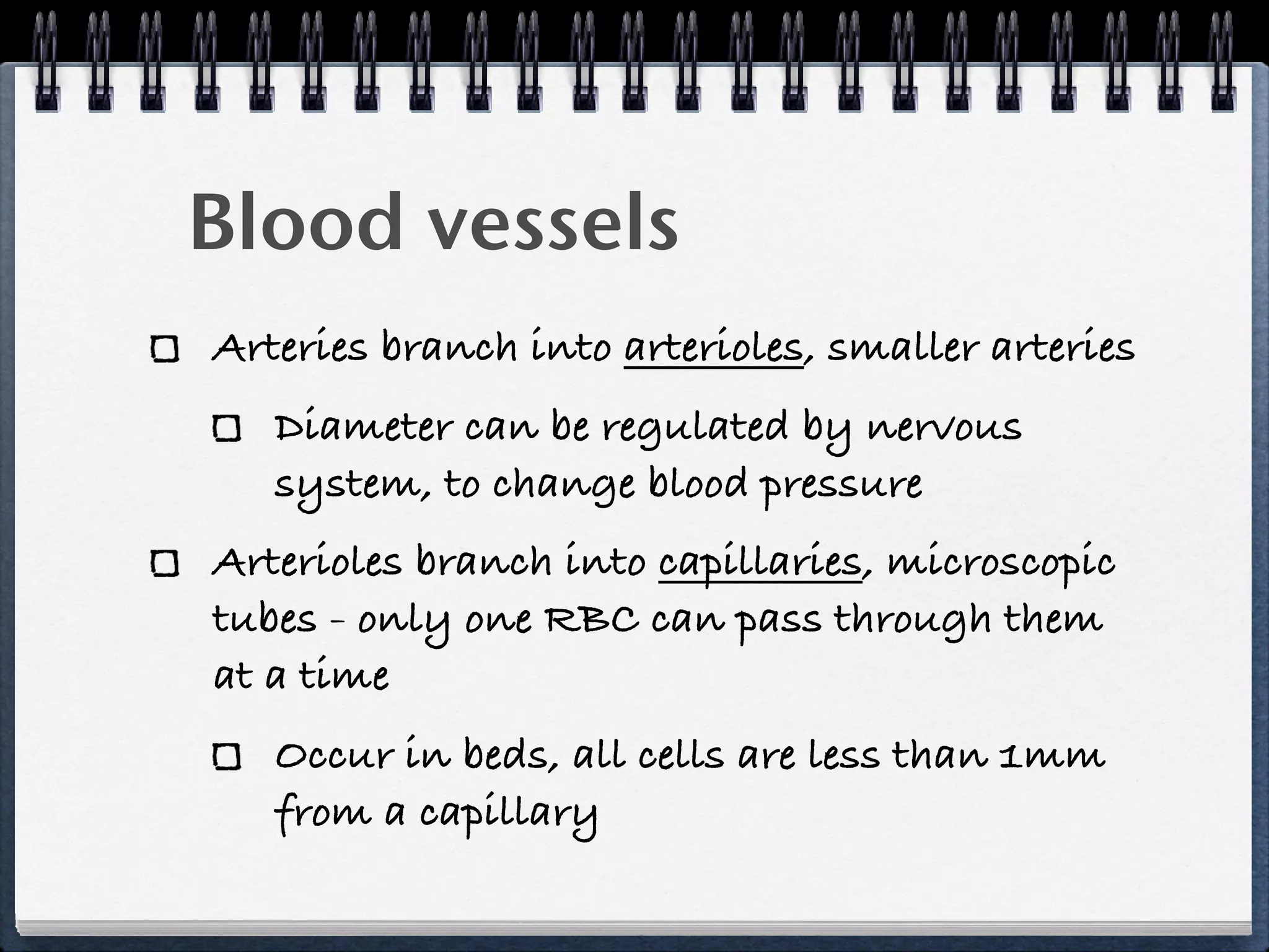 Blood vessels
Arteries branch into arterioles, smaller arteries
   Diameter can be regulated by nervous
   system, to change blood pressure
Arterioles branch into capillaries, microscopic
tubes - only one RBC can pass through them
at a time
   Occur in beds, all cells are less than 1mm
   from a capillary
 