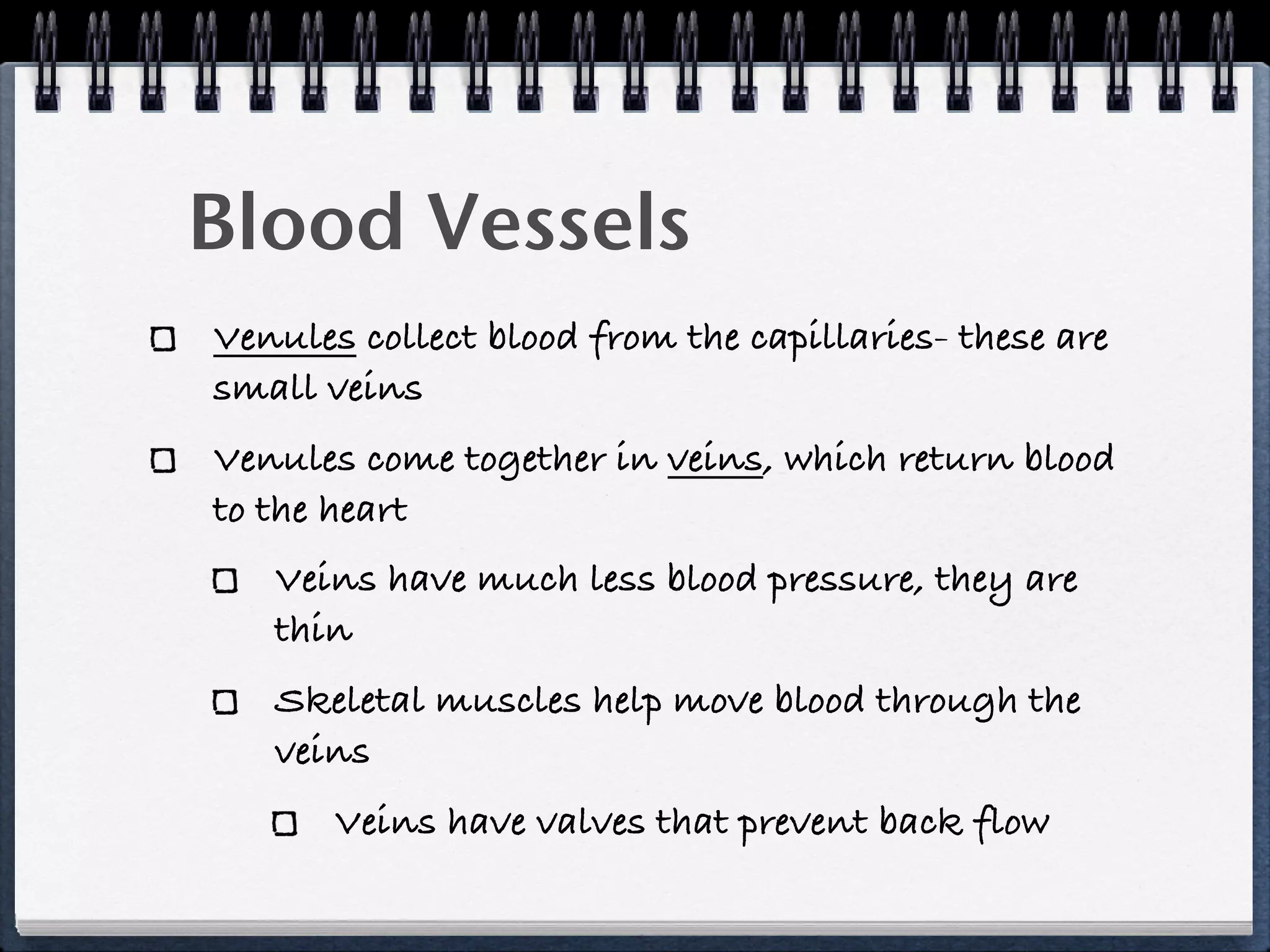 Blood Vessels
Venules collect blood from the capillaries- these are
small veins
Venules come together in veins, which return blood
to the heart
   Veins have much less blood pressure, they are
   thin
   Skeletal muscles help move blood through the
   veins
       Veins have valves that prevent back flow
 