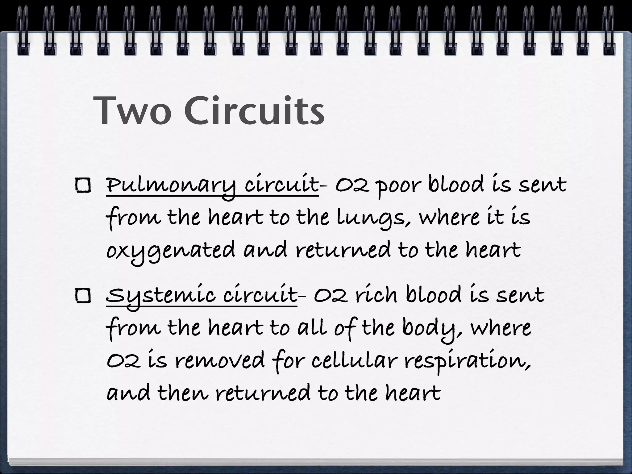 Two Circuits
Pulmonary circuit- O2 poor blood is sent
from the heart to the lungs, where it is
oxygenated and returned to the heart
Systemic circuit- O2 rich blood is sent
from the heart to all of the body, where
O2 is removed for cellular respiration,
and then returned to the heart
 