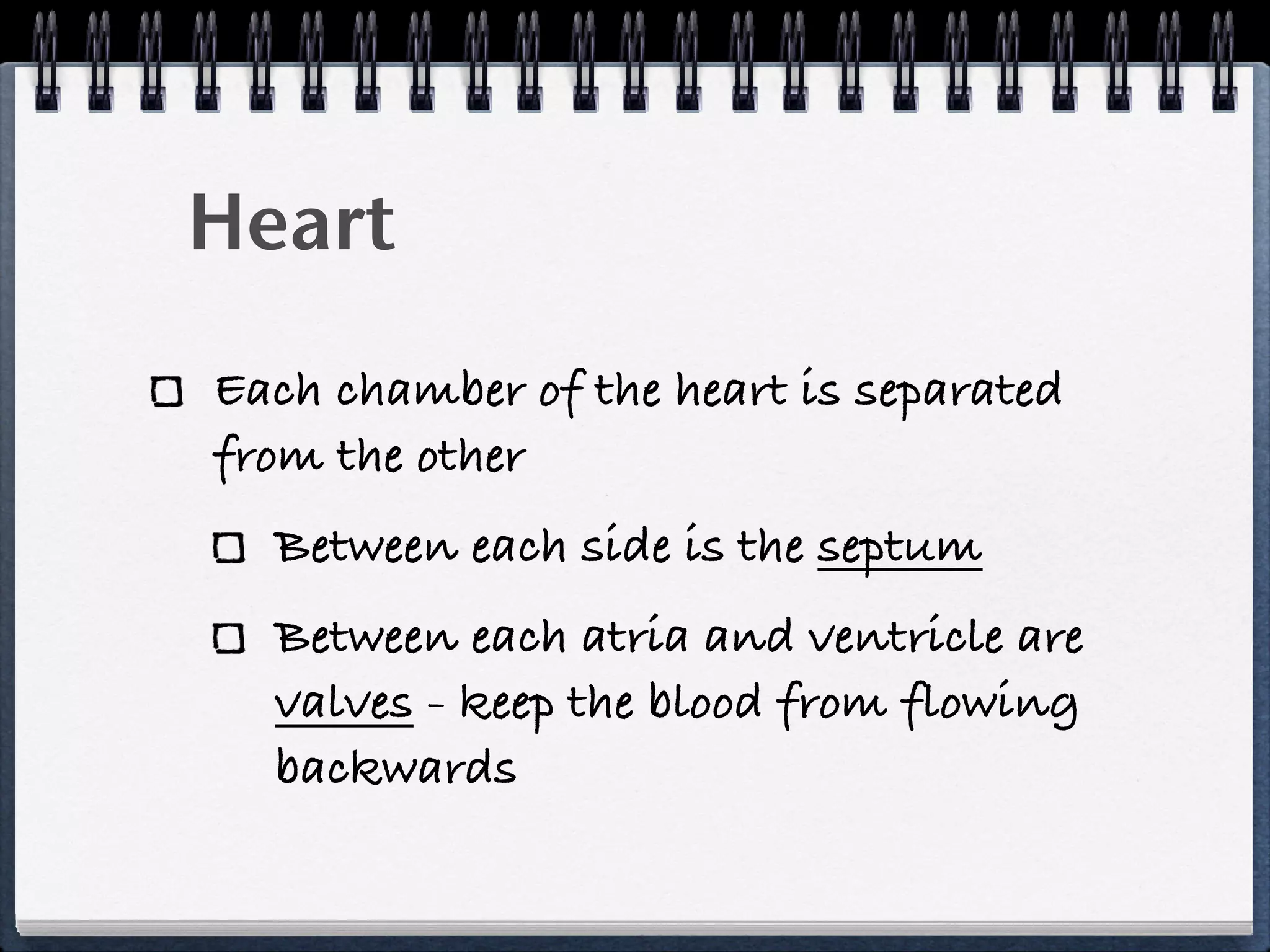 Heart
Each chamber of the heart is separated
from the other
  Between each side is the septum
  Between each atria and ventricle are
  valves - keep the blood from flowing
  backwards
 