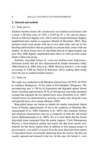4 Behaviour (2015) DOI:10.1163/1568539X-00003267
2. Material and methods
2.1. Study species
Southern bamboo lemurs (H. meridionalis) are medium-sized lemurs with
a mean ± SE body mass of 1.072 ± 0.107 kg (N = 15), and are charac-
terized as folivores (Eppley et al., 2011) and by female dominance (Eppley,
unpublished data) similar to congeners (Waeber & Hemelrijk, 2003). They
maintain small social groups with one or two adult males and one to two
breeding adult female(s) that are generally in constant daily contact with one
another. As these lemurs have an inter-birth interval of approximately one
year (Tan, 2006; Eppley, unpublished data), there are often juvenile and/or
infants within each group.
Similarly, ring-tailed lemurs (L. catta) are medium-sized, frugivorous–
folivorous lemurs that are also characterized by female dominance (Jolly,
1966; Gould et al., 2003; Jolly et al., 2006). However, female L. catta weigh
an average of 2.268 kg (Taylor & Schwitzer, 2012), making them nearly
twice the size as southern bamboo lemurs.
2.2. Study site
The study was conducted in the Mandena littoral forest (24°95 S, 46°99 E)
in southeast Madagascar, 10 km north of Fort-Dauphin (Tolagnaro). The
encompassing area is 148 ha of fragmented and degraded upland littoral
forest, including approximately 82 ha of interspersed seasonally-inundated
swamps that segregate the two upland forest areas (Ganzhorn et al., 2007).
Littoral forests are characterized as growing on sandy soils along the coast
and typically have a low canopy (Dumetz, 1999).
Ring-tailed lemurs are known to inhabit the nearby transitional littoral
forest of Petriky, approximately 15 km to the southwest of Mandena (Ra-
manamanjato et al., 2002; Ganzhorn et al., 2007), that maintains ﬂoristic
and structural characteristics that are a composite of both dry and humid
forests (Rabenantoandro et al., 2007). Yet, it is more likely that the female
ring-tailed lemur emigrated from the nearby (approx. 5 km) Nahampoana
Reserve, a local botanical garden and tourist site that hosts mostly non-
endemic (to the Anosy region) ﬂora in addition to free-ranging groups of
provisioned L. catta and P. verreauxi. Over the years there have been reports
of ring-tailed lemurs occasionally dispersing from the reserve, but they are
usually captured and returned to the site. In this case, the female L. catta
 