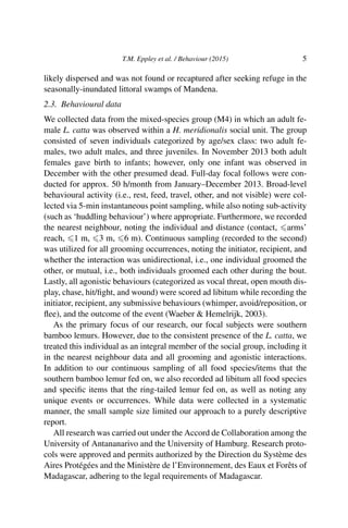 T.M. Eppley et al. / Behaviour (2015) 5
likely dispersed and was not found or recaptured after seeking refuge in the
seasonally-inundated littoral swamps of Mandena.
2.3. Behavioural data
We collected data from the mixed-species group (M4) in which an adult fe-
male L. catta was observed within a H. meridionalis social unit. The group
consisted of seven individuals categorized by age/sex class: two adult fe-
males, two adult males, and three juveniles. In November 2013 both adult
females gave birth to infants; however, only one infant was observed in
December with the other presumed dead. Full-day focal follows were con-
ducted for approx. 50 h/month from January–December 2013. Broad-level
behavioural activity (i.e., rest, feed, travel, other, and not visible) were col-
lected via 5-min instantaneous point sampling, while also noting sub-activity
(such as ‘huddling behaviour’) where appropriate. Furthermore, we recorded
the nearest neighbour, noting the individual and distance (contact, arms’
reach, 1 m, 3 m, 6 m). Continuous sampling (recorded to the second)
was utilized for all grooming occurrences, noting the initiator, recipient, and
whether the interaction was unidirectional, i.e., one individual groomed the
other, or mutual, i.e., both individuals groomed each other during the bout.
Lastly, all agonistic behaviours (categorized as vocal threat, open mouth dis-
play, chase, hit/ﬁght, and wound) were scored ad libitum while recording the
initiator, recipient, any submissive behaviours (whimper, avoid/reposition, or
ﬂee), and the outcome of the event (Waeber & Hemelrijk, 2003).
As the primary focus of our research, our focal subjects were southern
bamboo lemurs. However, due to the consistent presence of the L. catta, we
treated this individual as an integral member of the social group, including it
in the nearest neighbour data and all grooming and agonistic interactions.
In addition to our continuous sampling of all food species/items that the
southern bamboo lemur fed on, we also recorded ad libitum all food species
and speciﬁc items that the ring-tailed lemur fed on, as well as noting any
unique events or occurrences. While data were collected in a systematic
manner, the small sample size limited our approach to a purely descriptive
report.
All research was carried out under the Accord de Collaboration among the
University of Antananarivo and the University of Hamburg. Research proto-
cols were approved and permits authorized by the Direction du Système des
Aires Protégées and the Ministère de l’Environnement, des Eaux et Forêts of
Madagascar, adhering to the legal requirements of Madagascar.
 