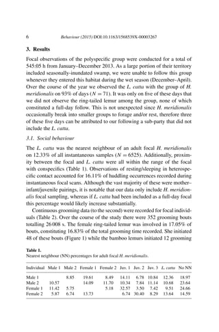 6 Behaviour (2015) DOI:10.1163/1568539X-00003267
3. Results
Focal observations of the polyspeciﬁc group were conducted for a total of
545:05 h from January–December 2013. As a large portion of their territory
included seasonally-inundated swamp, we were unable to follow this group
whenever they entered this habitat during the wet season (December–April).
Over the course of the year we observed the L. catta with the group of H.
meridionalis on 93% of days (N = 71). It was only on ﬁve of these days that
we did not observe the ring-tailed lemur among the group, none of which
constituted a full-day follow. This is not unexpected since H. meridionalis
occasionally break into smaller groups to forage and/or rest, therefore three
of these ﬁve days can be attributed to our following a sub-party that did not
include the L. catta.
3.1. Social behaviour
The L. catta was the nearest neighbour of an adult focal H. meridionalis
on 12.33% of all instantaneous samples (N = 6525). Additionally, proxim-
ity between the focal and L. catta were all within the range of the focal
with conspeciﬁcs (Table 1). Observations of resting/sleeping in heterospe-
ciﬁc contact accounted for 16.11% of huddling occurrences recorded during
instantaneous focal scans. Although the vast majority of these were mother–
infant/juvenile pairings, it is notable that our data only include H. meridion-
alis focal sampling, whereas if L. catta had been included as a full-day focal
this percentage would likely increase substantially.
Continuous grooming data (to the second) were recorded for focal individ-
uals (Table 2). Over the course of the study there were 352 grooming bouts
totalling 26 008 s. The female ring-tailed lemur was involved in 17.05% of
bouts, constituting 16.83% of the total grooming time recorded. She initiated
48 of these bouts (Figure 1) while the bamboo lemurs initiated 12 grooming
Table 1.
Nearest neighbour (NN) percentages for adult focal H. meridionalis.
Individual Male 1 Male 2 Female 1 Female 2 Juv. 1 Juv. 2 Juv. 3 L. catta No NN
Male 1 8.85 19.61 8.49 14.11 6.78 10.84 12.36 18.97
Male 2 10.57 14.09 11.70 10.34 7.84 11.14 10.68 23.64
Female 1 11.42 5.75 5.18 32.57 3.50 7.42 9.51 24.66
Female 2 5.87 6.74 13.73 6.74 30.40 8.29 13.64 14.59
 
