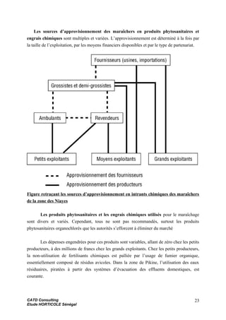 Les sources d’approvisionnement des maraîchers en produits phytosanitaires et
engrais chimiques sont multiples et variées. L’approvisionnement est déterminé à la fois par
la taille de l’exploitation, par les moyens financiers disponibles et par le type de partenariat.
Figure retraçant les sources d’approvisionnement en intrants chimiques des maraîchers
de la zone des Niayes
Les produits phytosanitaires et les engrais chimiques utilisés pour le maraîchage
sont divers et variés. Cependant, tous ne sont pas recommandés, surtout les produits
phytosanitaires organochlorés que les autorités s’efforcent à éliminer du marché
Les dépenses engendrées pour ces produits sont variables, allant de zéro chez les petits
producteurs, à des millions de francs chez les grands exploitants. Chez les petits producteurs,
la non-utilisation de fertilisants chimiques est palliée par l’usage de fumier organique,
essentiellement composé de résidus avicoles. Dans la zone de Pikine, l’utilisation des eaux
résiduaires, piratées à partir des systèmes d’évacuation des effluents domestiques, est
courante.
CATD Consulting
Etude HORTICOLE Sénégal
23
 