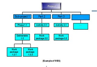 PMO Standard Org structure processes Chart & Role Descriptions_Arabi…