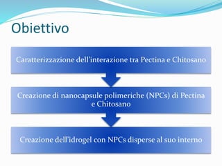 Obiettivo
Creazione dell’idrogel con NPCs disperse al suo interno
Creazione di nanocapsule polimeriche (NPCs) di Pectina
e Chitosano
Caratterizzazione dell’interazione tra Pectina e Chitosano
 