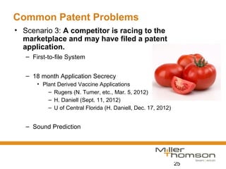 25
Common Patent Problems
• Scenario 3: A competitor is racing to the
marketplace and may have filed a patent
application.
– First-to-file System
– 18 month Application Secrecy
• Plant Derived Vaccine Applications
– Rugers (N. Tumer, etc., Mar. 5, 2012)
– H. Daniell (Sept. 11, 2012)
– U of Central Florida (H. Daniell, Dec. 17, 2012)
– Sound Prediction
 