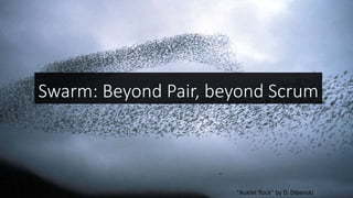 Swarm: Beyond Pair, beyond Scrum
"Auklet flock" by D. Dibenski
 
