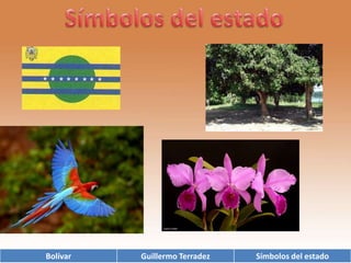 Símbolos del estado