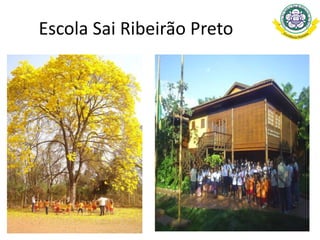 Escola Sai Ribeirão Preto
 